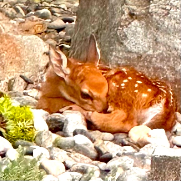 Be Present & Refreshed✨ - Picture 2 of 16